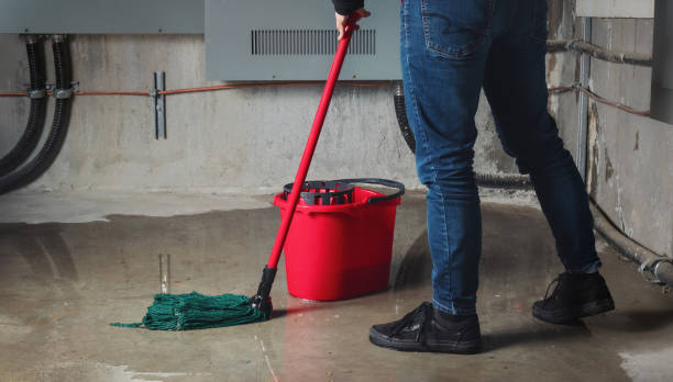 Best Residential water damage restoration  in San Rafael, CA