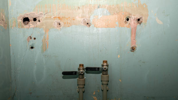 Best Fire Damage Restoration  in San Rafael, CA