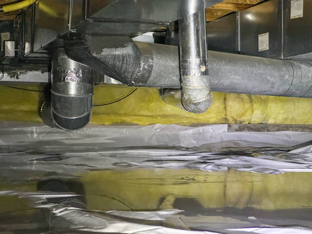 Best Ceiling water damage repair  in San Rafael, CA
