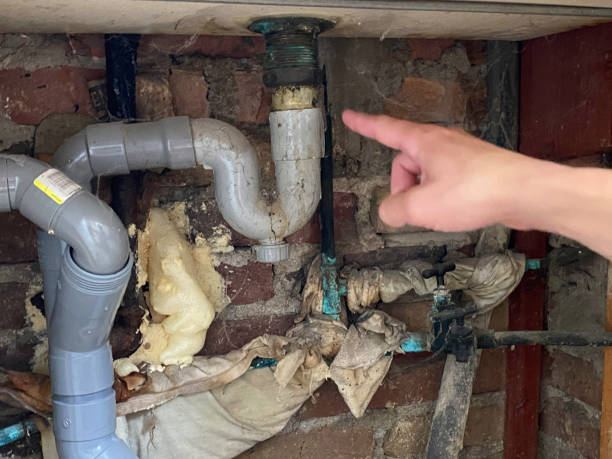 Best Water damage contractors near me  in San Rafael, CA
