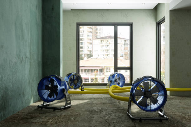 Best Water damage restoration near me  in San Rafael, CA